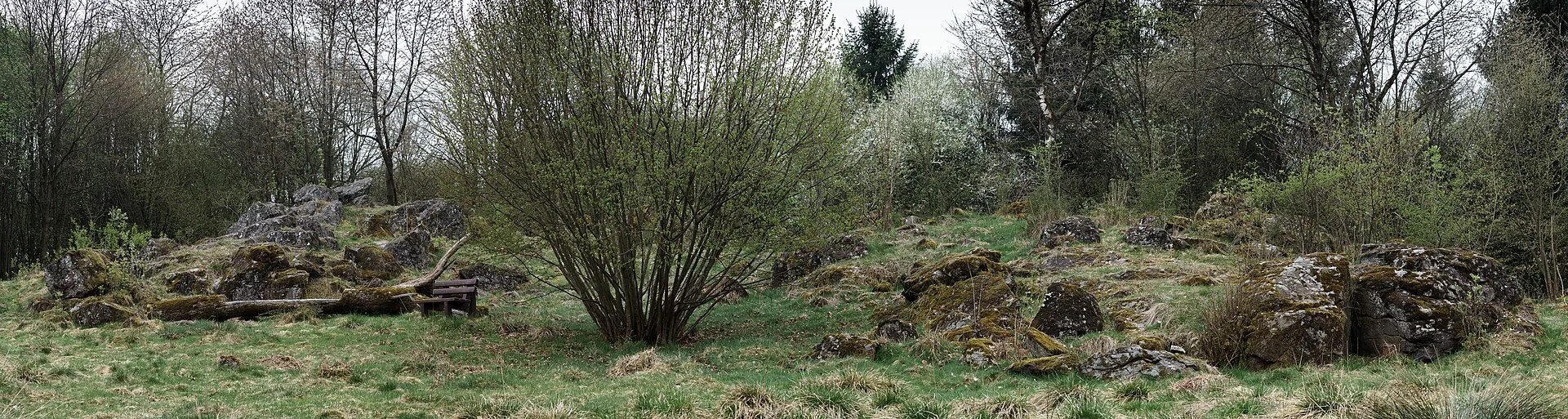 Dicker Stein im Frühjahr