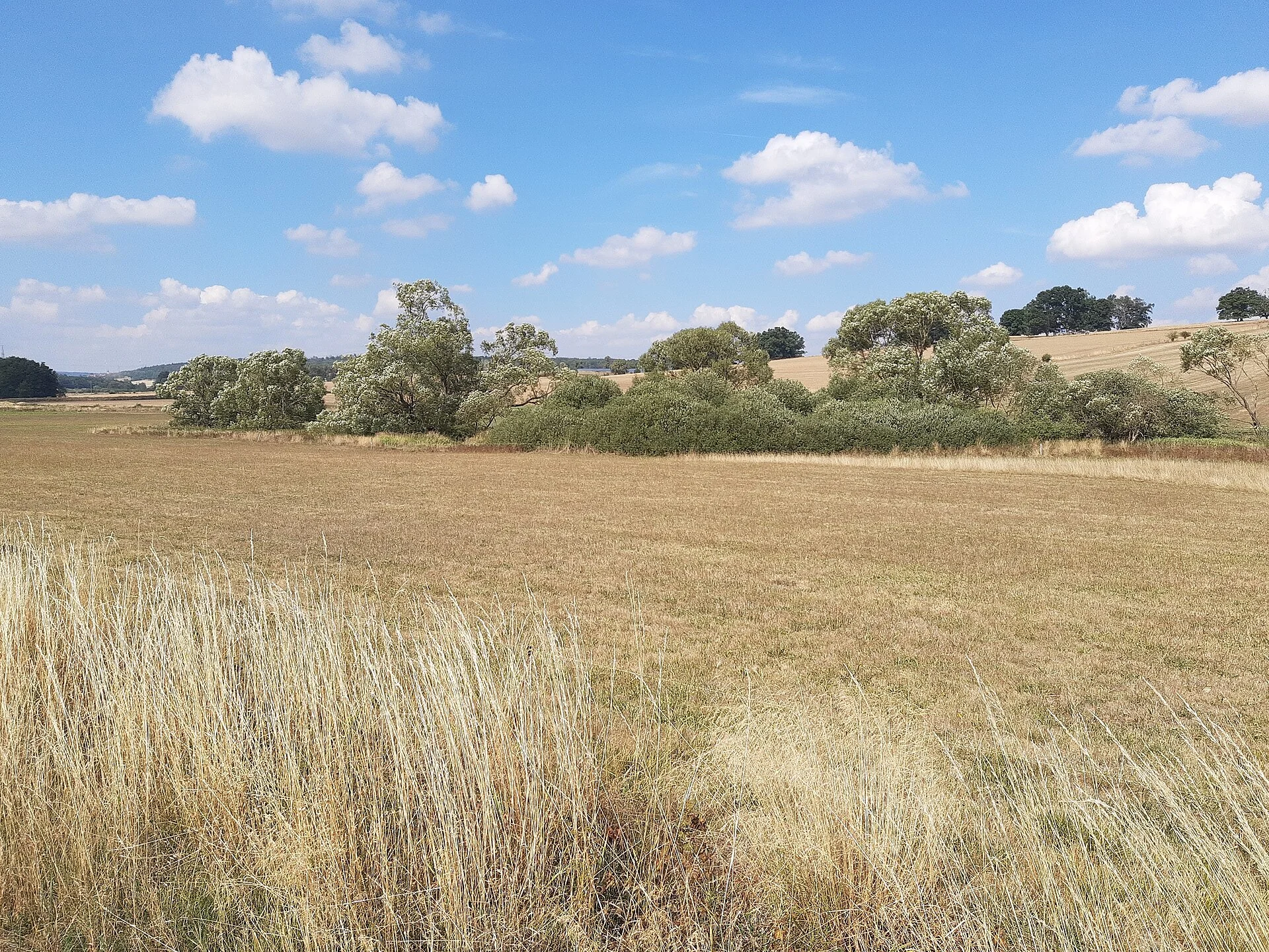 Vulkanradweg mit Blick auf Herbstein